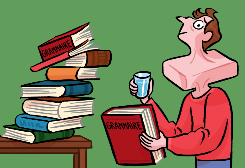fr-storyless-books-swallow-grammaire@Luna